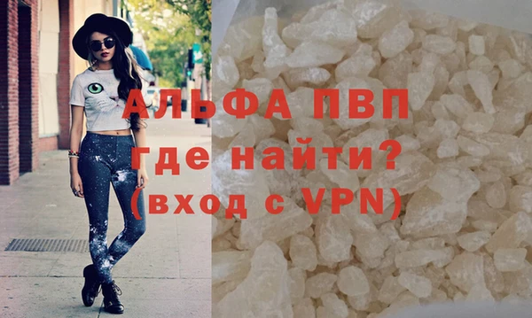 сатива Алексин