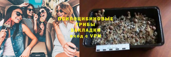 мяу мяу мука Абинск