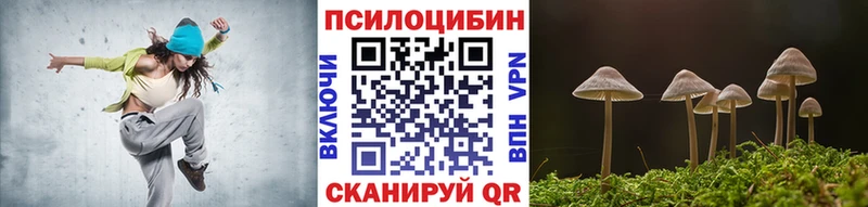 Псилоцибиновые грибы Cubensis Трубчевск